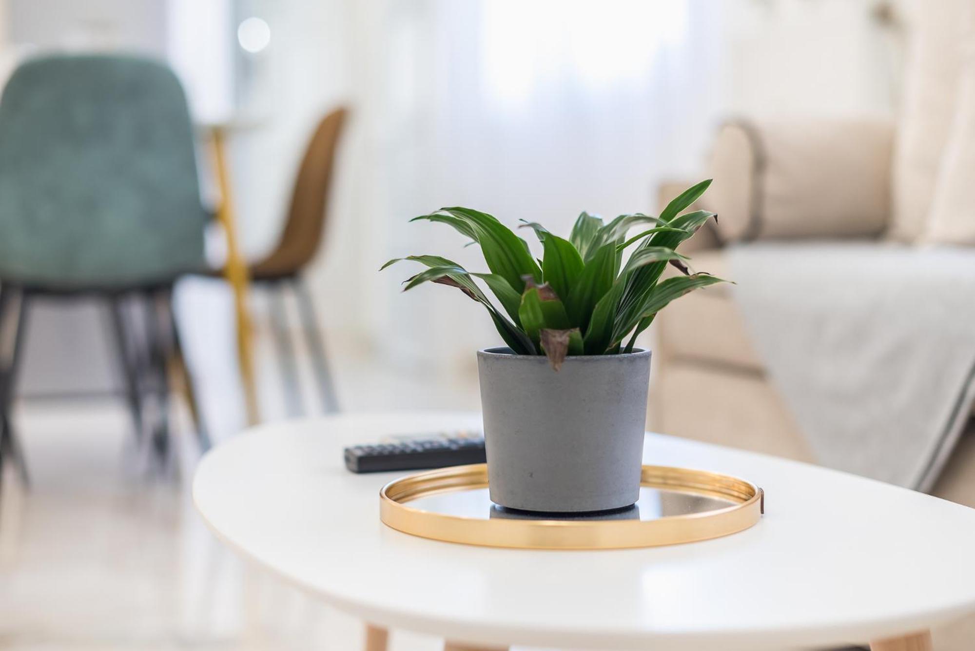 Apartment Modern 200m From Acropolis 100mbps Netflix Athens